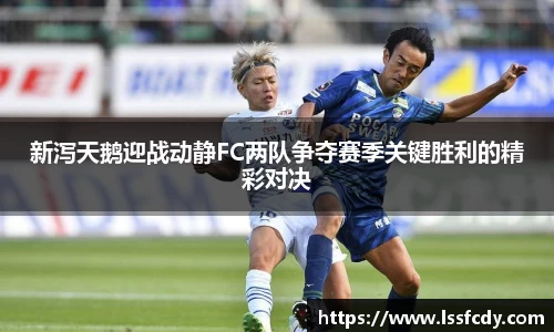 新泻天鹅迎战动静FC两队争夺赛季关键胜利的精彩对决